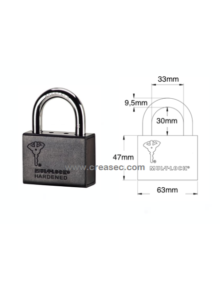 Cadenas MUL-T-Lock pour grilles