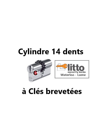 Barillet 14 dents a clés protégées