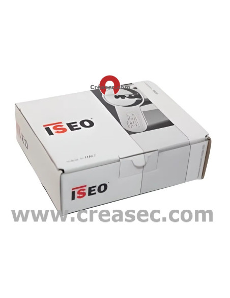 Cylindre ISEO R6