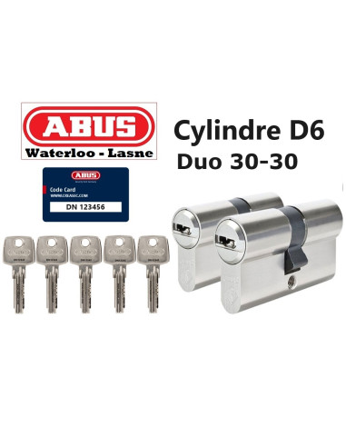 Deux cylindre 60mm avec les mêmes clés