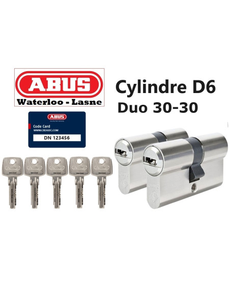 Deux cylindre 60mm avec les mêmes clés