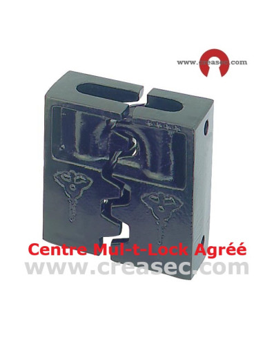 Machoires de protection pour cadenas MULTLOCK