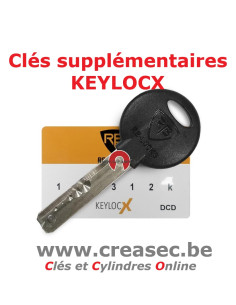 barillet de remplacement pour porte GB lock 2