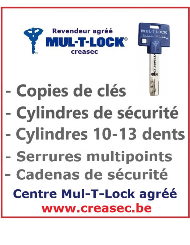 Cylindre MTL400 en 40-50 à 10 dents LINCE