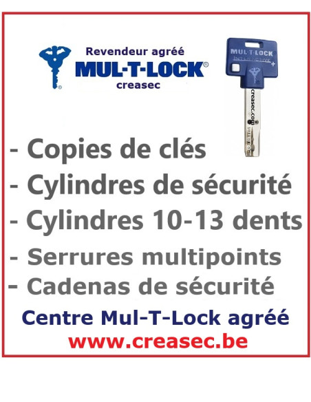 Cylindre MTL400 en 40-50 à 10 dents LINCE