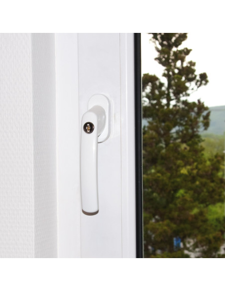 Abus FG200 - Poignée de fenêtre à clé