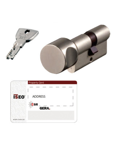 Cylindre ISEO R9 Plus à bouton
