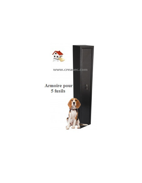 Armoire pour 5 fusils